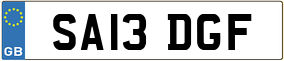 Truck License Plate